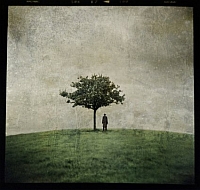 ANA KEFR „The Burial Tree (II)” - okładka