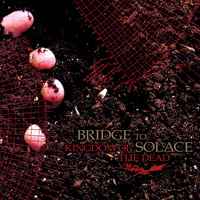 BRIDGE TO SOLACE „Kingdom of the dead” - okładka