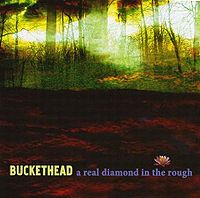 BUCKETHEAD „A Real Diamond in the Rough” - okładka