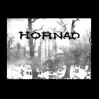 HORNAD „Demo” - okładka
