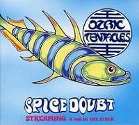 OZRIC TENTACLES „Spice Doubt” - okładka