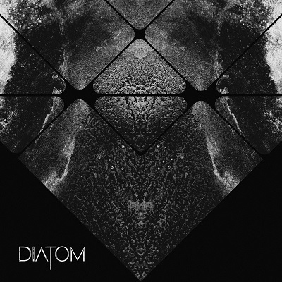 DIATOM „Diatom”
