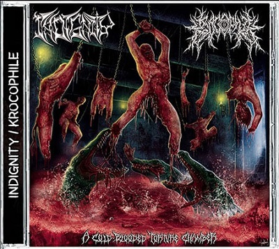 Split – INDIGNITY/KROCOPHILE