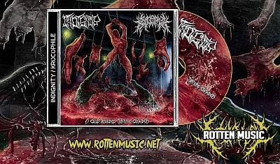 Split INDIGNITY / KROCOPHILE „A Cold Blooded Torture Chamber” pod szyldem Rotten Mucic