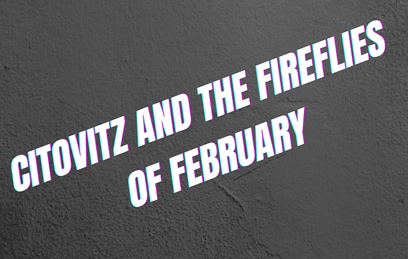 CITOVITZ AND THE FIREFLIES OF FEBRUARY – Wywiad z Andrzejem Citowiczem, gitarzystą, kompozytorem